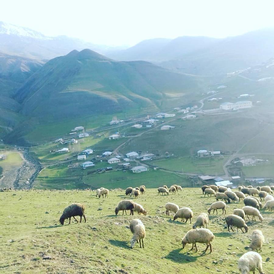 Xinaliq Elnur Guest House, New Hotel Luaran gambar